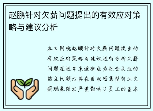 赵鹏针对欠薪问题提出的有效应对策略与建议分析 赵鹏针对欠薪问题提出的有效应对策略与建议分析