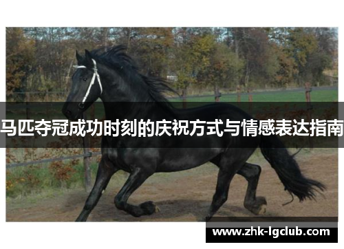 马匹夺冠成功时刻的庆祝方式与情感表达指南 马匹夺冠成功时刻的庆祝方式与情感表达指南