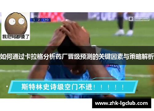 如何通过卡拉格分析药厂晋级预测的关键因素与策略解析