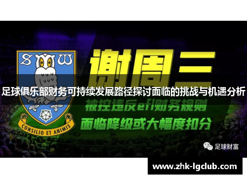 足球俱乐部财务可持续发展路径探讨面临的挑战与机遇分析
